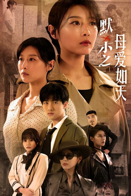 默杀之母爱如天（默杀之母亲之怒）海报