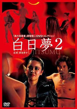 白日梦2海报
