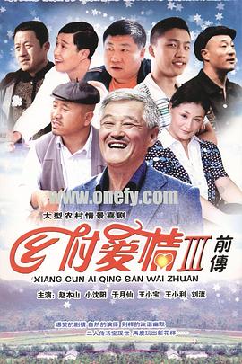 乡村爱情故事海报