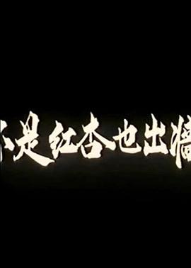 不是红杏也出墙海报