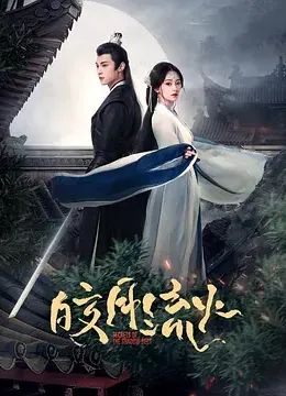 皎月流火海报