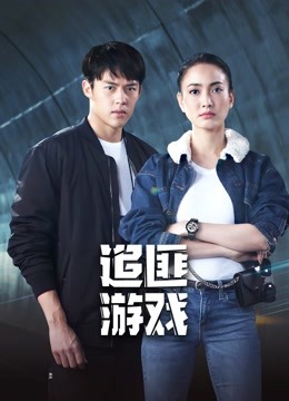 追匪游戏海报