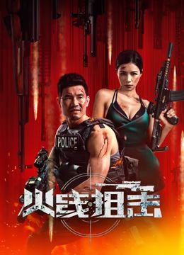 火线狙击海报