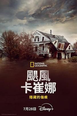 飓风卡崔娜 隐藏的伤痕海报