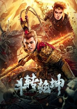 斗转乾坤海报