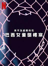 来不及盛开的花：巴西女童坠楼案海报