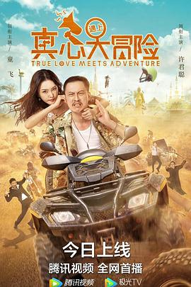 真心遇上大冒险海报