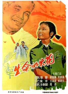 生命的火花海报