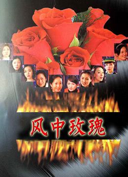 风中玫瑰海报