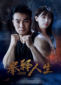 拳释人生海报