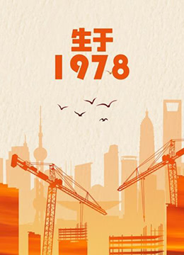 生于1978海报