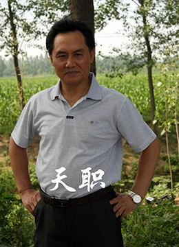 天职海报