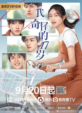 我奇怪的17岁³海报