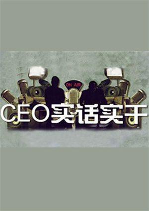 CEO实话实干海报