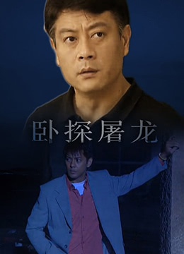 卧探屠龙海报