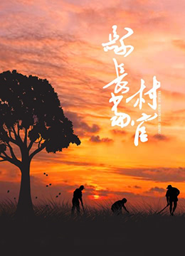 县长当村官海报