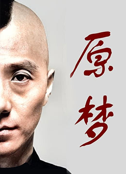 原梦海报