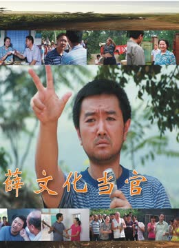 薛文化当官记海报