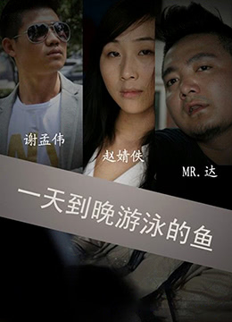 一天到晚游泳的鱼海报
