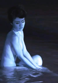 佐罗风流历险记海报