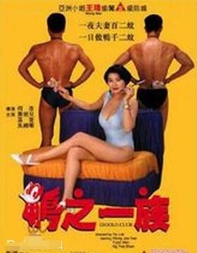 鸭之一族海报