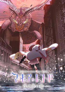 魔法纪录：魔法少女小圆外传海报