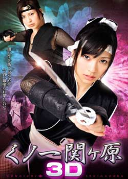 女忍关原海报
