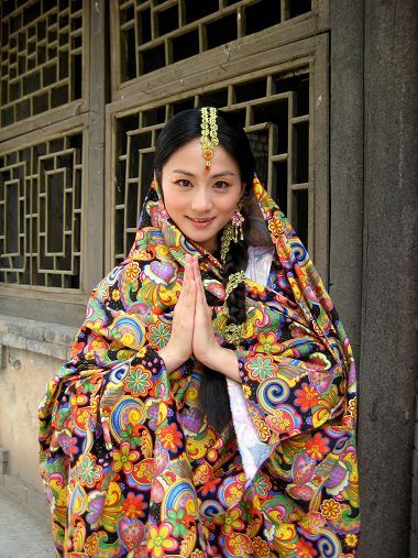 迷失疯人院海报