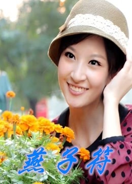 燕子符海报
