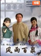 风雨百泉海报