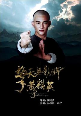 擎天无影脚黄麒英海报
