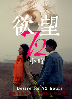 欲望72小时海报