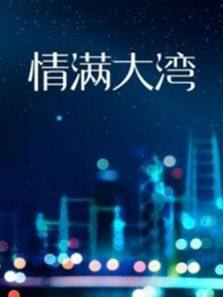 情满大湾海报