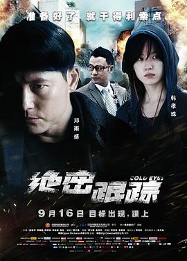 绝密跟踪（国语版）海报