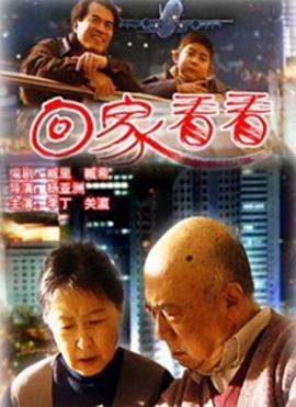回家看看海报