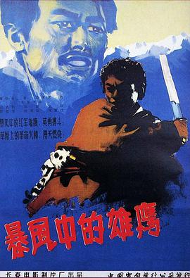 暴风中的雄鹰海报