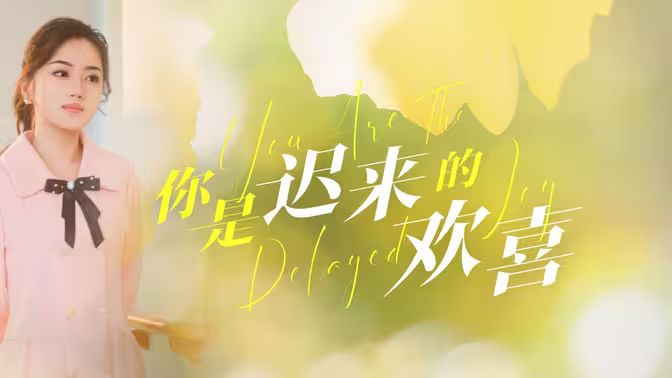 你是迟来的欢喜海报