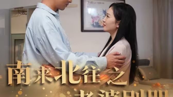 南来北往之老婆别哭海报