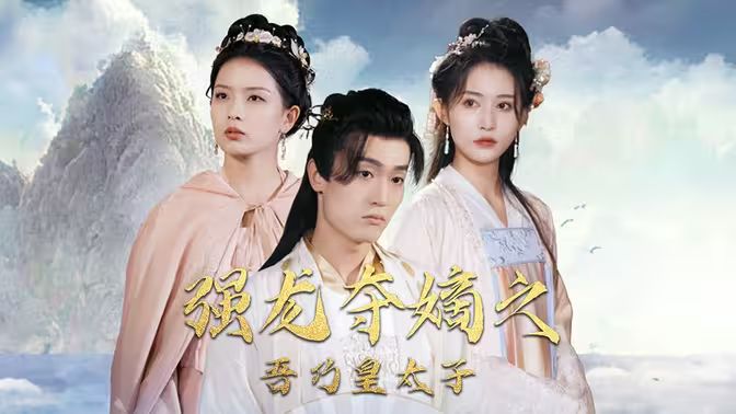 强龙夺嫡之吾乃皇太子海报