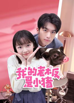 我的老板是小猪海报