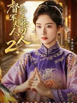 军夫人竟是赊刀人2海报