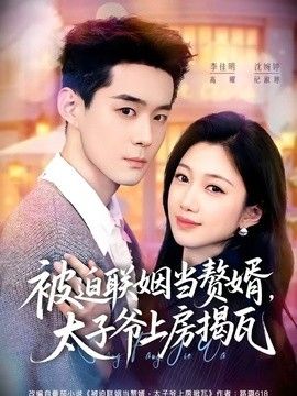 被迫联姻当赘婿，太子爷上房揭瓦海报