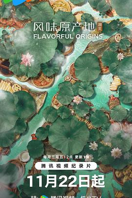 风味原产地·湖北海报