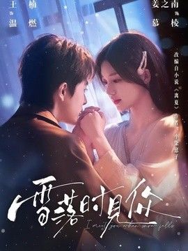 雪落时见你海报