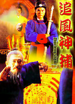 追风神捕海报