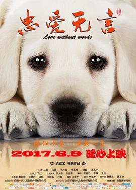 忠爱无言海报