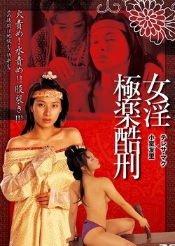 极乐酷刑海报