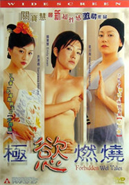 极欲燃烧海报
