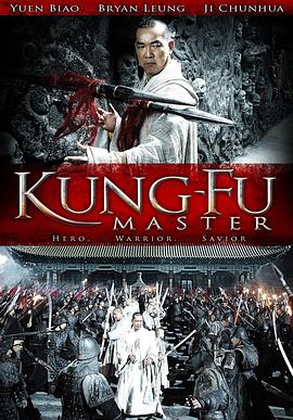 功夫大师2010海报