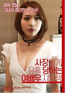 女演员之路海报